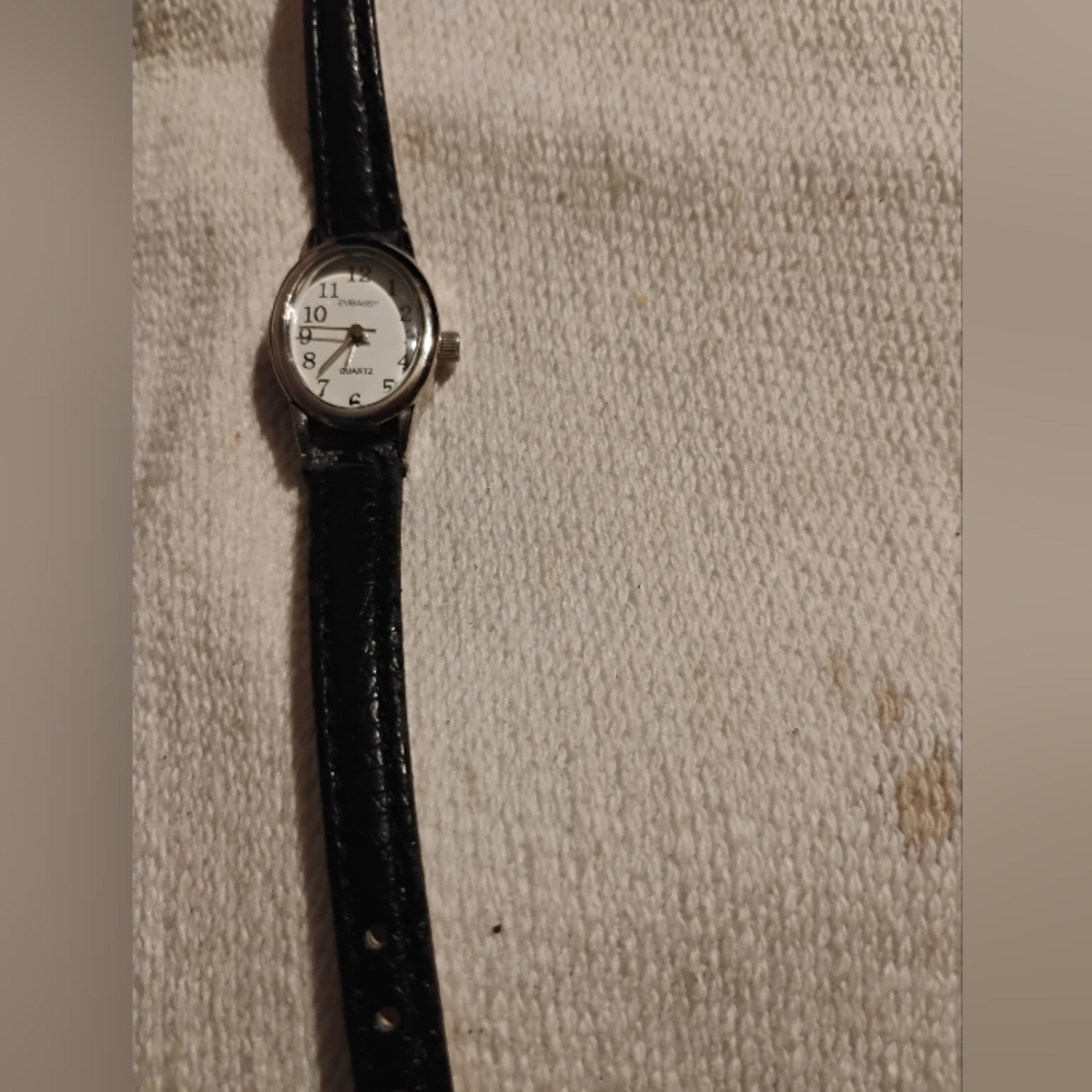 Embassy Watch